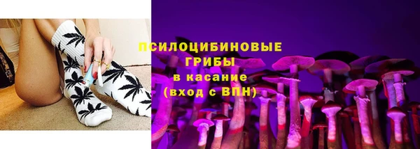 ГАЛЛЮЦИНОГЕННЫЕ ГРИБЫ Медногорск