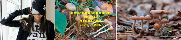 дмт Мегион