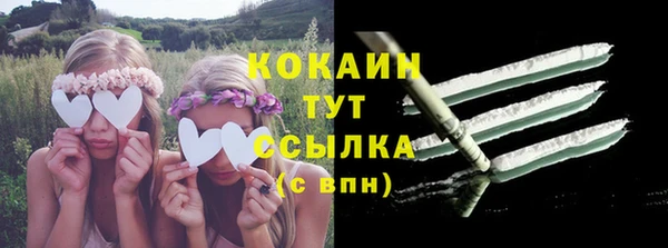 дмт Мегион