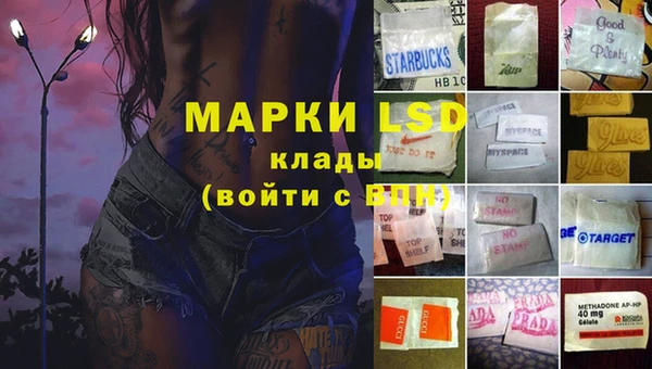 ГАЛЛЮЦИНОГЕННЫЕ ГРИБЫ Медногорск