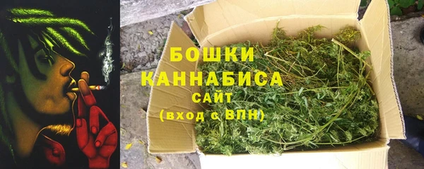ГАЛЛЮЦИНОГЕННЫЕ ГРИБЫ Медногорск