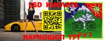 амф Гусь-Хрустальный