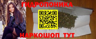 амф Гусь-Хрустальный