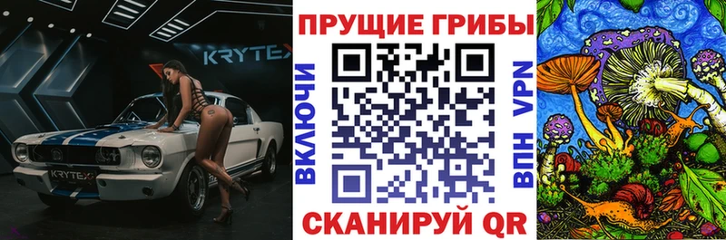 Галлюциногенные грибы Psilocybine cubensis где купить наркотик Ивантеевка
