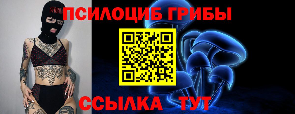 Псилоцибиновые грибы мицелий  Ивантеевка 