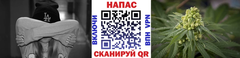 Шишки марихуана THC 21%  Ивантеевка 